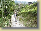 Sikkim-Mar2011 (220) * 3648 x 2736 * (5.76MB)